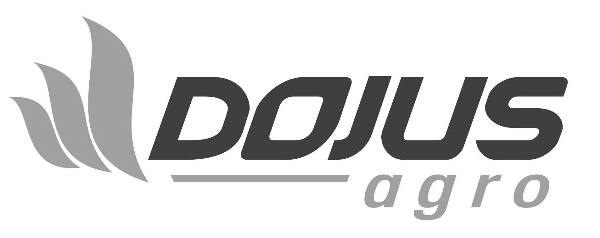Dojus-logo-maketuojant